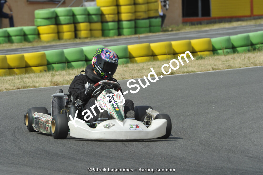 22/06/2014 : 4ème manche du Trophée Jean Paul Puyrigaud à Layrac (Photos Patrick Lascombes) 2014 — karting
