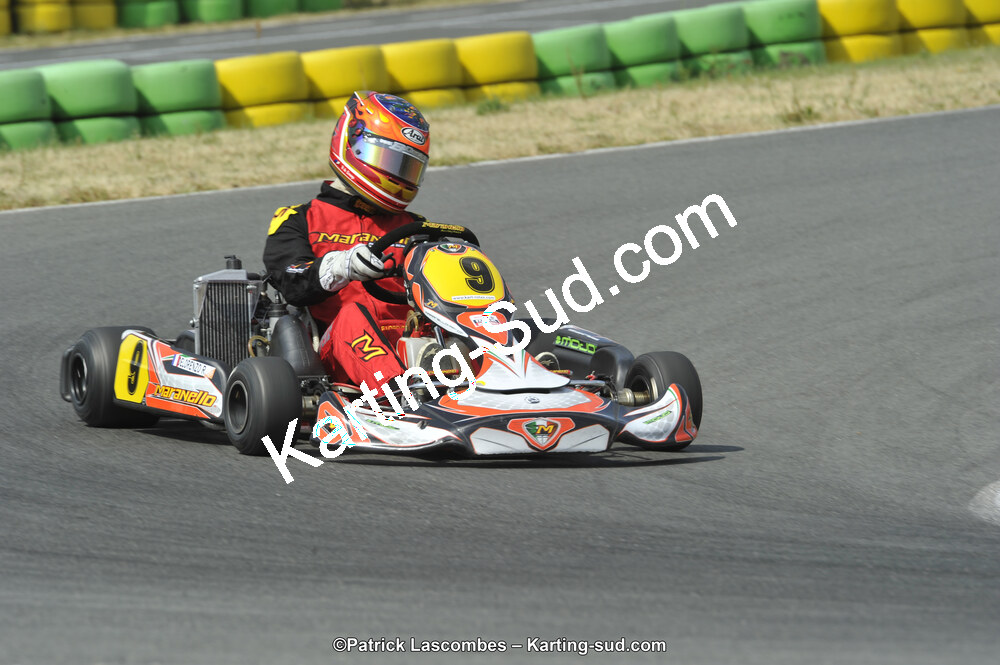 22/06/2014 : 4ème manche du Trophée Jean Paul Puyrigaud à Layrac (Photos Patrick Lascombes) 2014 — karting