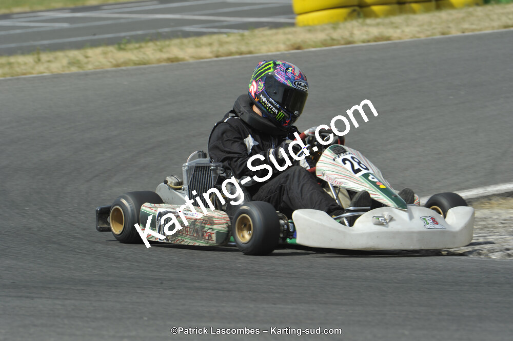 22/06/2014 : 4ème manche du Trophée Jean Paul Puyrigaud à Layrac (Photos Patrick Lascombes) 2014 — karting