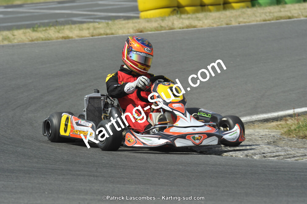 22/06/2014 : 4ème manche du Trophée Jean Paul Puyrigaud à Layrac (Photos Patrick Lascombes) 2014 — karting