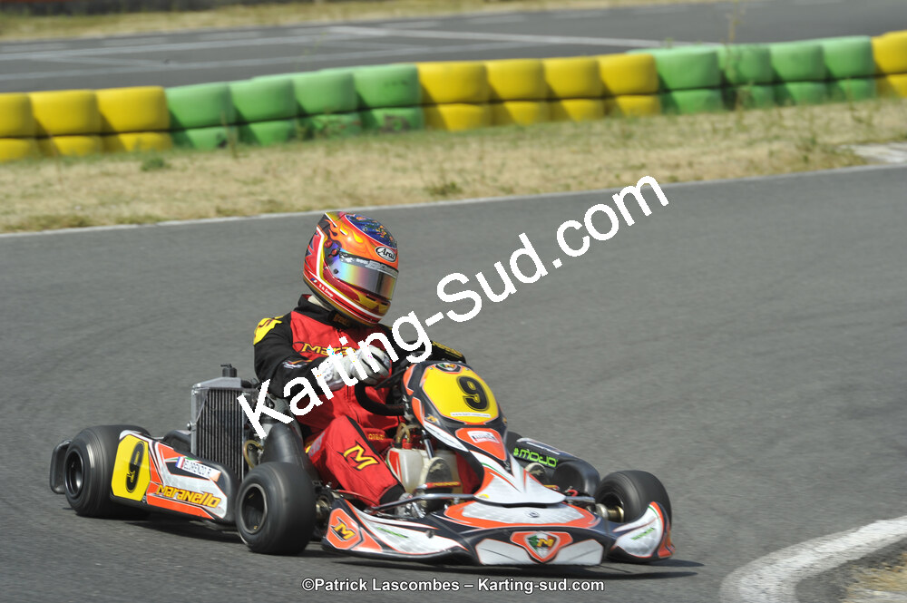 22/06/2014 : 4ème manche du Trophée Jean Paul Puyrigaud à Layrac (Photos Patrick Lascombes) 2014 — karting