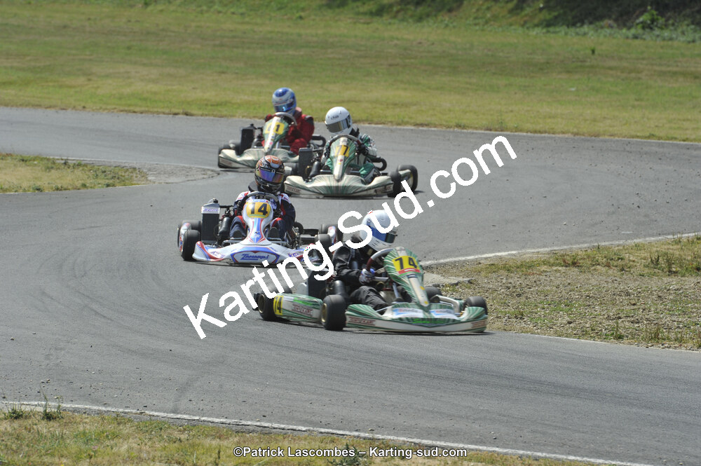 22/06/2014 : 4ème manche du Trophée Jean Paul Puyrigaud à Layrac (Photos Patrick Lascombes) 2014 — karting