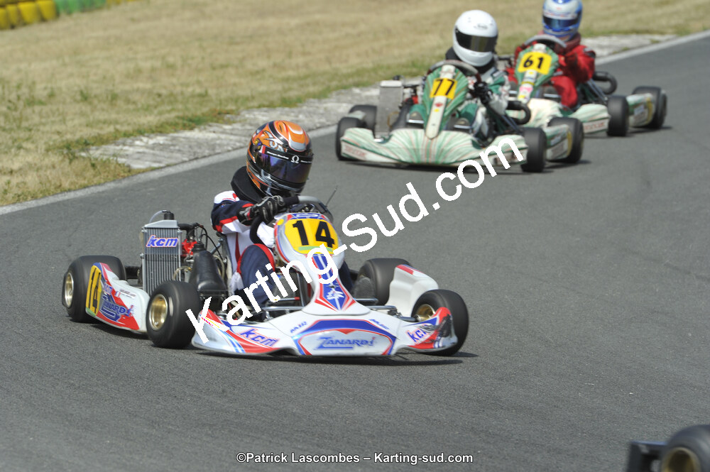 22/06/2014 : 4ème manche du Trophée Jean Paul Puyrigaud à Layrac (Photos Patrick Lascombes) 2014 — karting