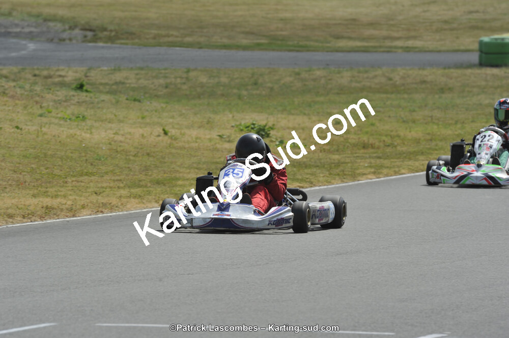 22/06/2014 : 4ème manche du Trophée Jean Paul Puyrigaud à Layrac (Photos Patrick Lascombes) 2014 — karting