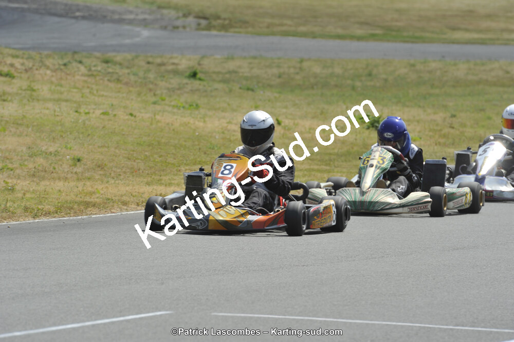 22/06/2014 : 4ème manche du Trophée Jean Paul Puyrigaud à Layrac (Photos Patrick Lascombes) 2014 — karting