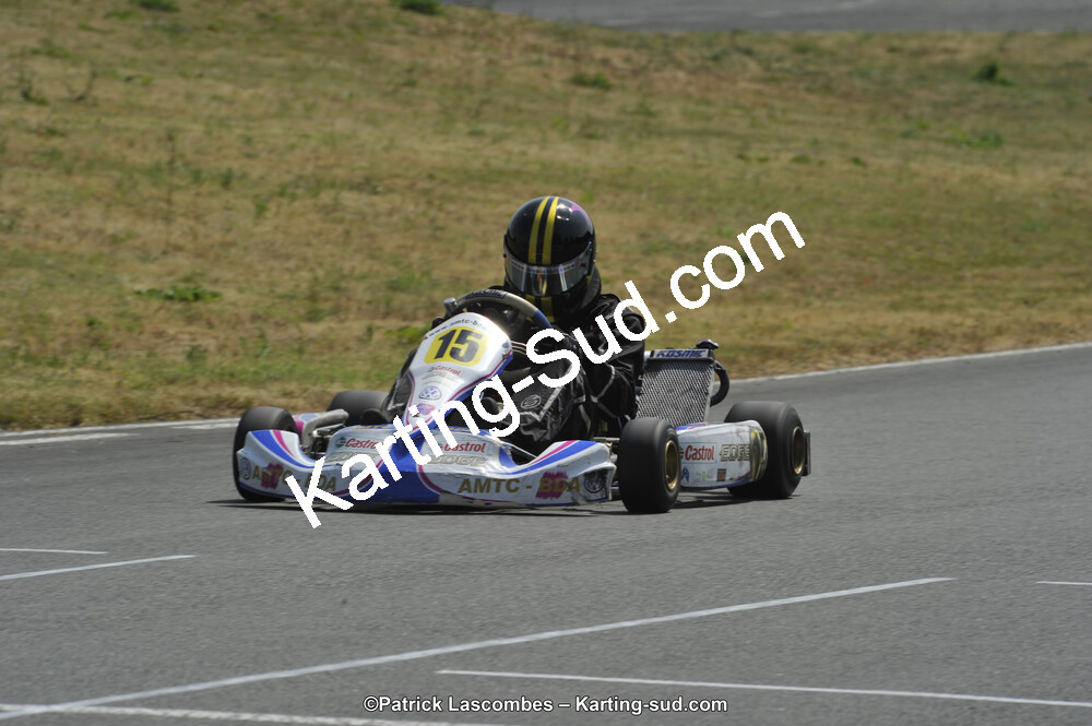 22/06/2014 : 4ème manche du Trophée Jean Paul Puyrigaud à Layrac (Photos Patrick Lascombes) 2014 — karting