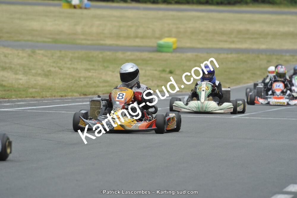 22/06/2014 : 4ème manche du Trophée Jean Paul Puyrigaud à Layrac (Photos Patrick Lascombes) 2014 — karting