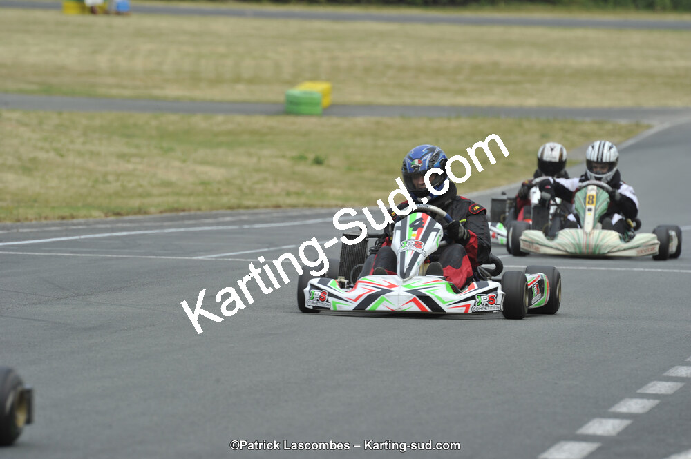 22/06/2014 : 4ème manche du Trophée Jean Paul Puyrigaud à Layrac (Photos Patrick Lascombes) 2014 — karting