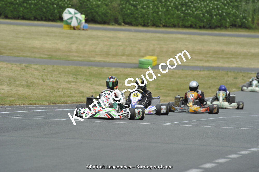 22/06/2014 : 4ème manche du Trophée Jean Paul Puyrigaud à Layrac (Photos Patrick Lascombes) 2014 — karting