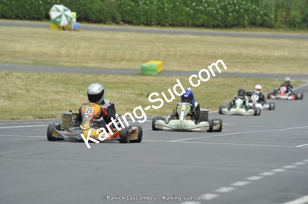 22/06/2014 : 4ème manche du Trophée Jean Paul Puyrigaud à Layrac (Photos Patrick Lascombes) 2014 — karting