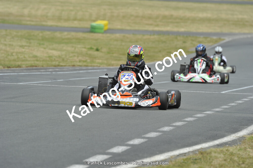 22/06/2014 : 4ème manche du Trophée Jean Paul Puyrigaud à Layrac (Photos Patrick Lascombes) 2014 — karting