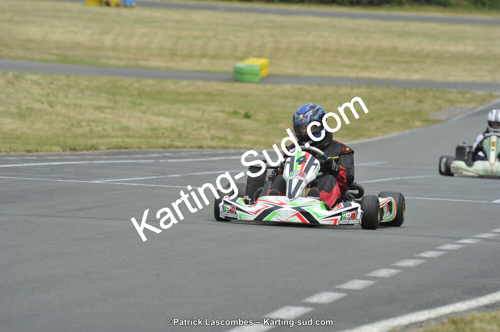 22/06/2014 : 4ème manche du Trophée Jean Paul Puyrigaud à Layrac (Photos Patrick Lascombes) 2014 — karting