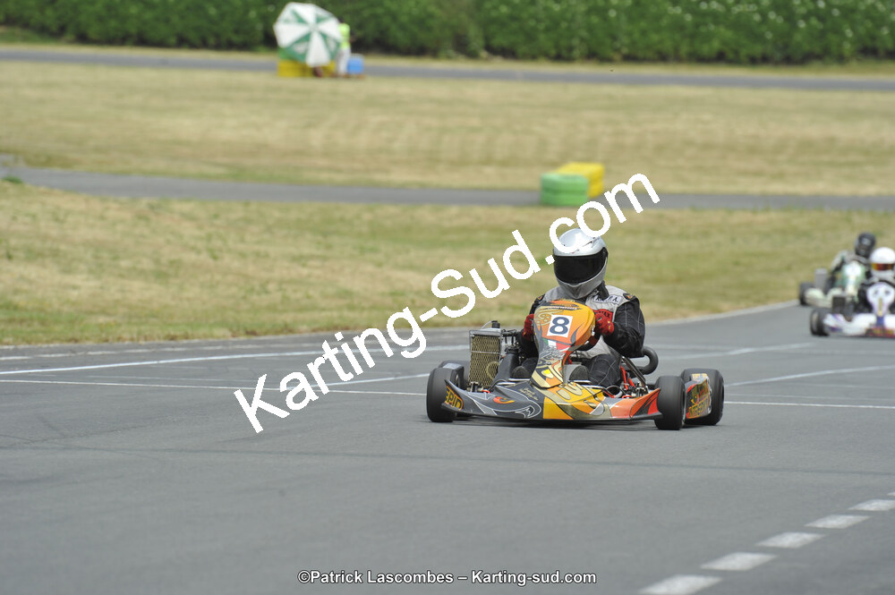 22/06/2014 : 4ème manche du Trophée Jean Paul Puyrigaud à Layrac (Photos Patrick Lascombes) 2014 — karting