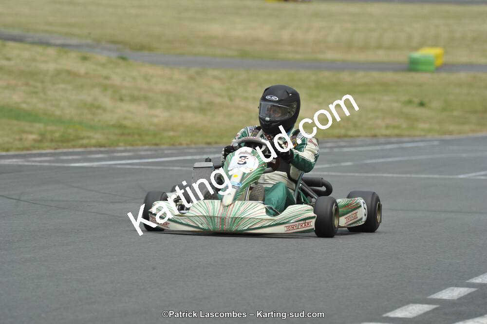 22/06/2014 : 4ème manche du Trophée Jean Paul Puyrigaud à Layrac (Photos Patrick Lascombes) 2014 — karting