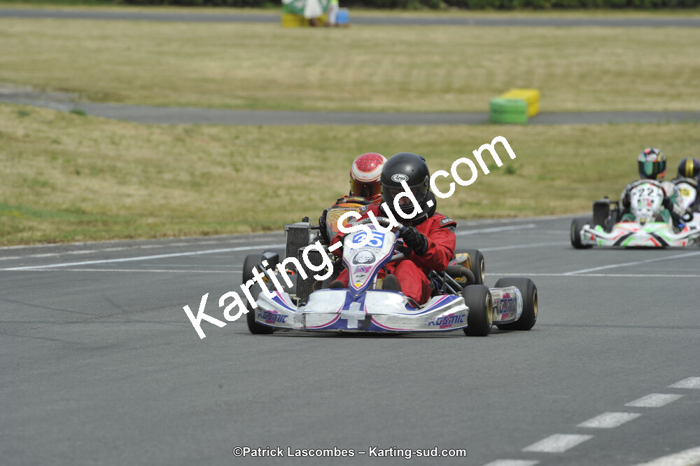22/06/2014 : 4ème manche du Trophée Jean Paul Puyrigaud à Layrac (Photos Patrick Lascombes) 2014 — karting
