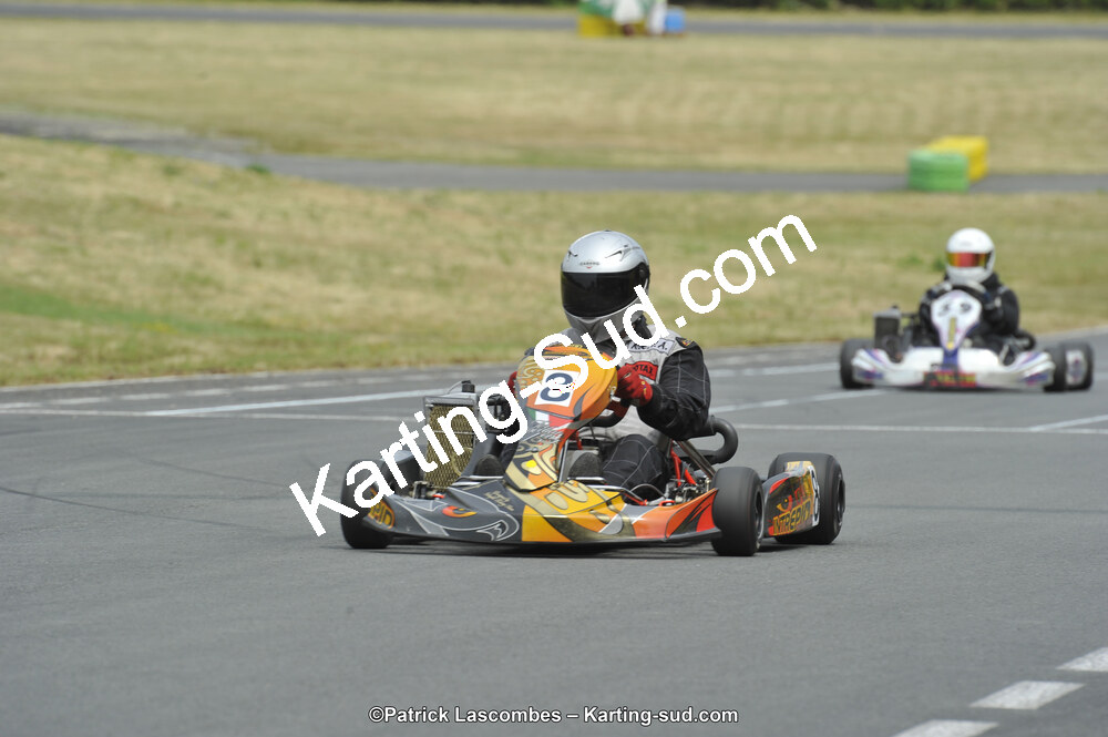 22/06/2014 : 4ème manche du Trophée Jean Paul Puyrigaud à Layrac (Photos Patrick Lascombes) 2014 — karting