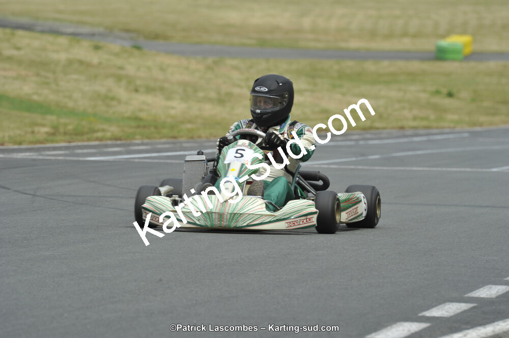 22/06/2014 : 4ème manche du Trophée Jean Paul Puyrigaud à Layrac (Photos Patrick Lascombes) 2014 — karting