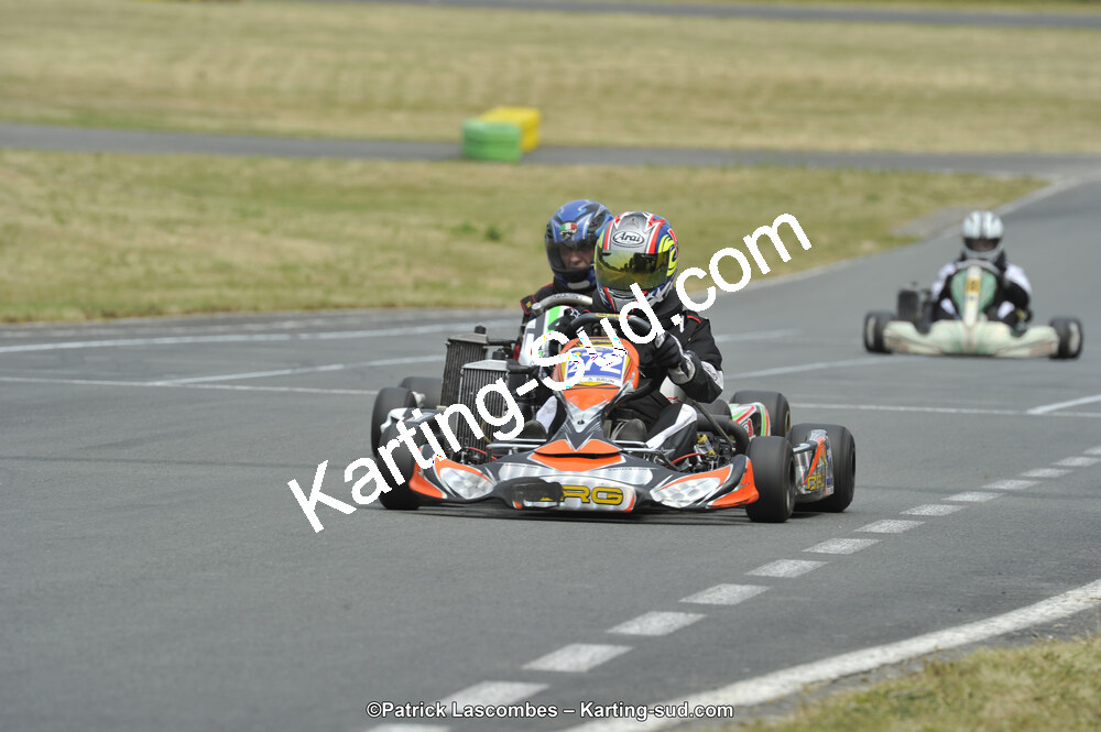 22/06/2014 : 4ème manche du Trophée Jean Paul Puyrigaud à Layrac (Photos Patrick Lascombes) 2014 — karting