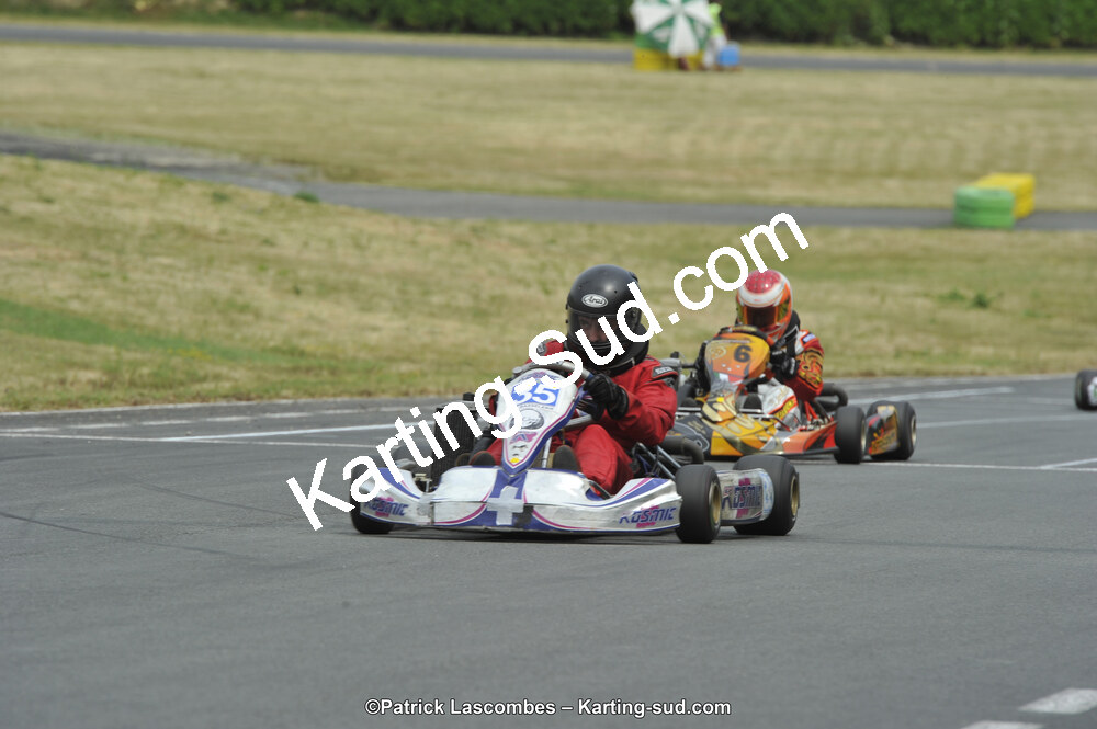 22/06/2014 : 4ème manche du Trophée Jean Paul Puyrigaud à Layrac (Photos Patrick Lascombes) 2014 — karting