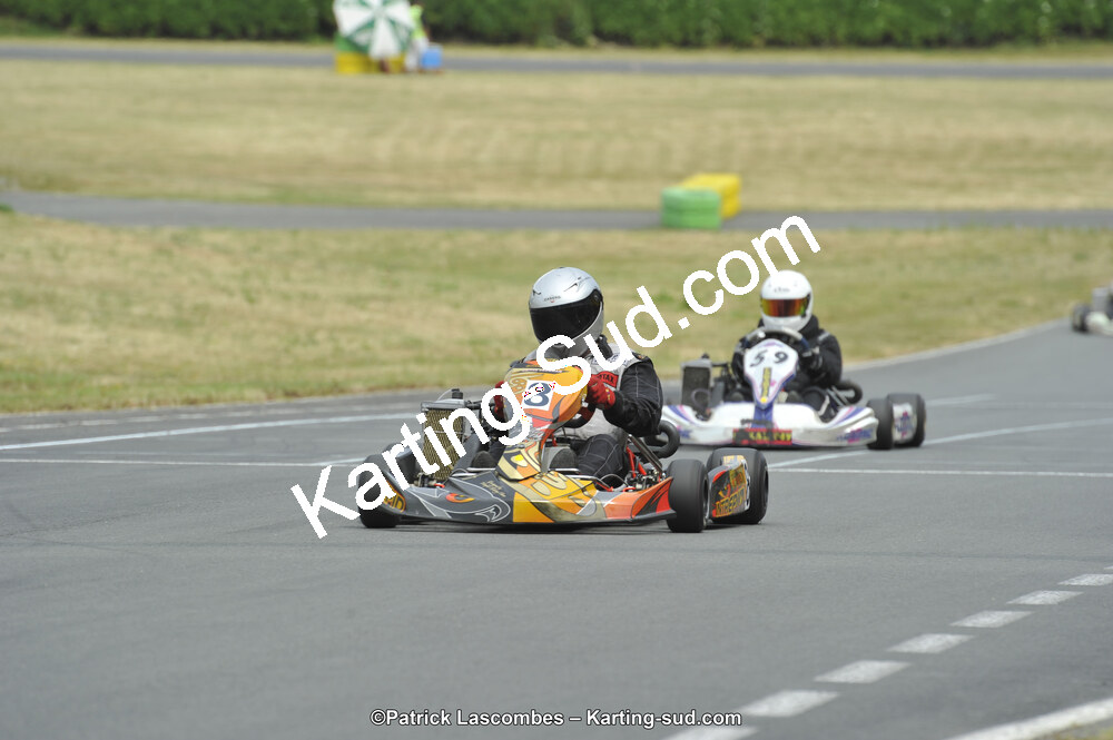 22/06/2014 : 4ème manche du Trophée Jean Paul Puyrigaud à Layrac (Photos Patrick Lascombes) 2014 — karting