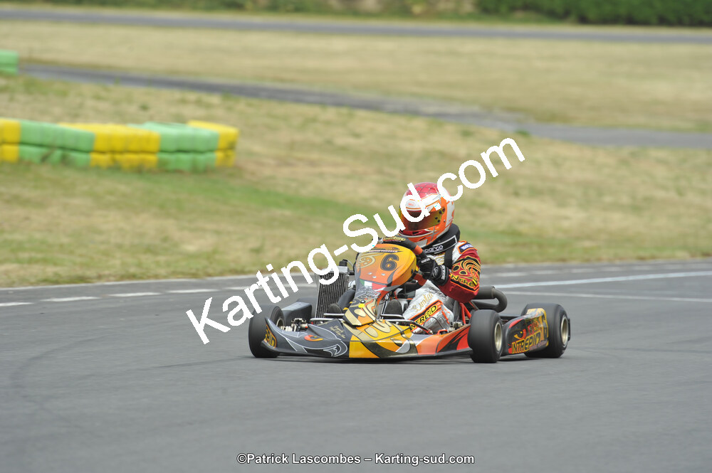 22/06/2014 : 4ème manche du Trophée Jean Paul Puyrigaud à Layrac (Photos Patrick Lascombes) 2014 — karting