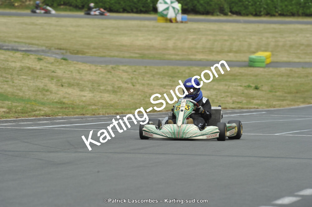 22/06/2014 : 4ème manche du Trophée Jean Paul Puyrigaud à Layrac (Photos Patrick Lascombes) 2014 — karting