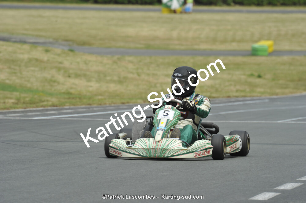22/06/2014 : 4ème manche du Trophée Jean Paul Puyrigaud à Layrac (Photos Patrick Lascombes) 2014 — karting