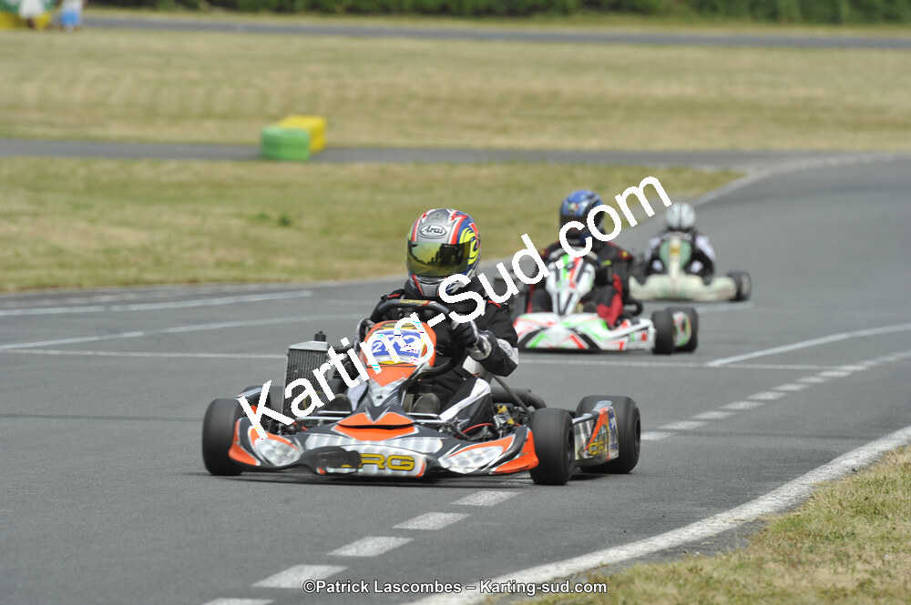 22/06/2014 : 4ème manche du Trophée Jean Paul Puyrigaud à Layrac (Photos Patrick Lascombes) 2014 — karting