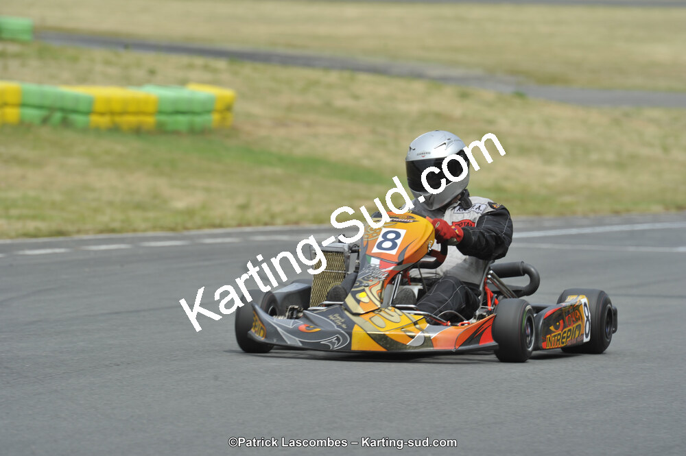 22/06/2014 : 4ème manche du Trophée Jean Paul Puyrigaud à Layrac (Photos Patrick Lascombes) 2014 — karting