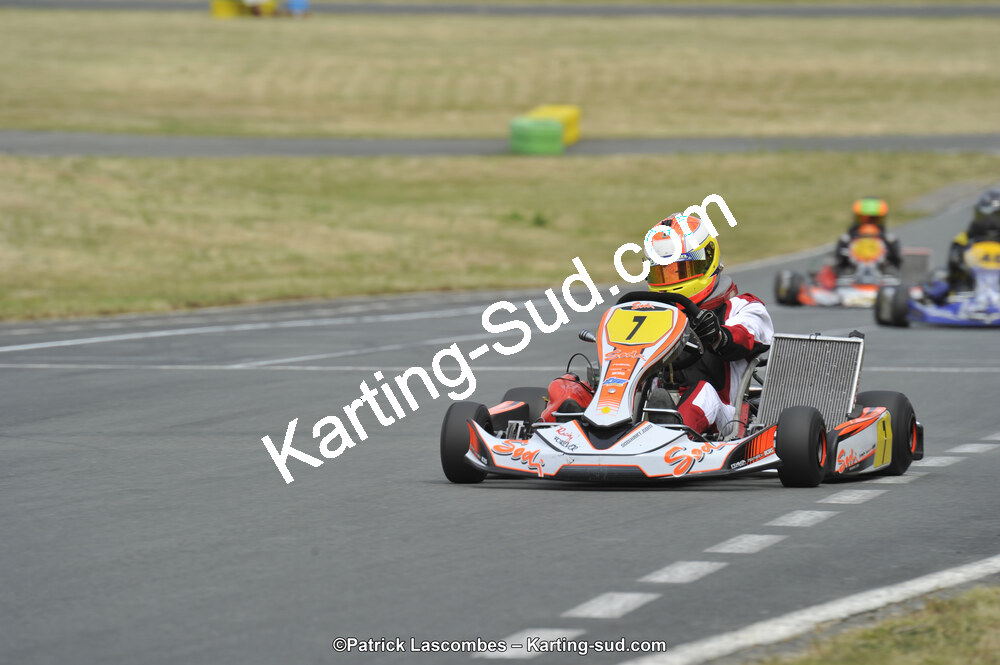22/06/2014 : 4ème manche du Trophée Jean Paul Puyrigaud à Layrac (Photos Patrick Lascombes) 2014 — karting