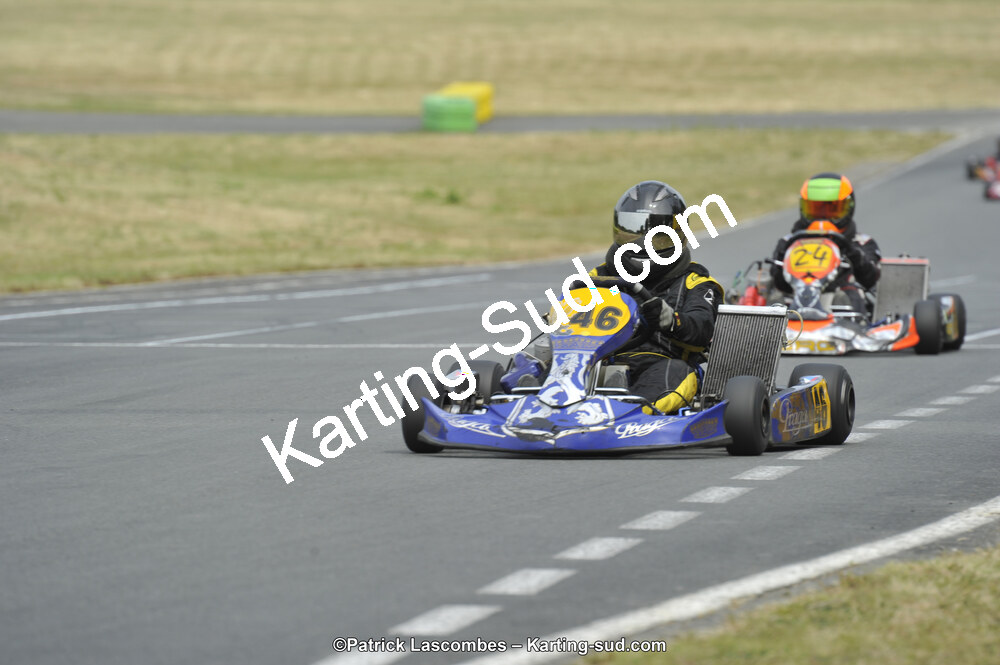 22/06/2014 : 4ème manche du Trophée Jean Paul Puyrigaud à Layrac (Photos Patrick Lascombes) 2014 — karting