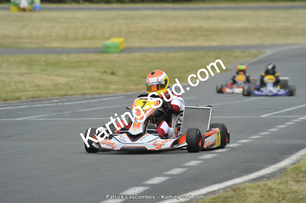 22/06/2014 : 4ème manche du Trophée Jean Paul Puyrigaud à Layrac (Photos Patrick Lascombes) 2014 — karting