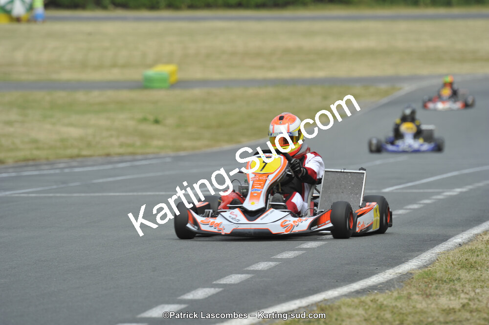 22/06/2014 : 4ème manche du Trophée Jean Paul Puyrigaud à Layrac (Photos Patrick Lascombes) 2014 — karting