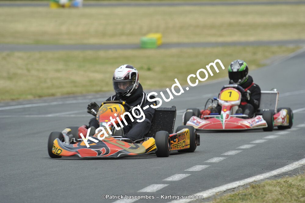 22/06/2014 : 4ème manche du Trophée Jean Paul Puyrigaud à Layrac (Photos Patrick Lascombes) 2014 — karting