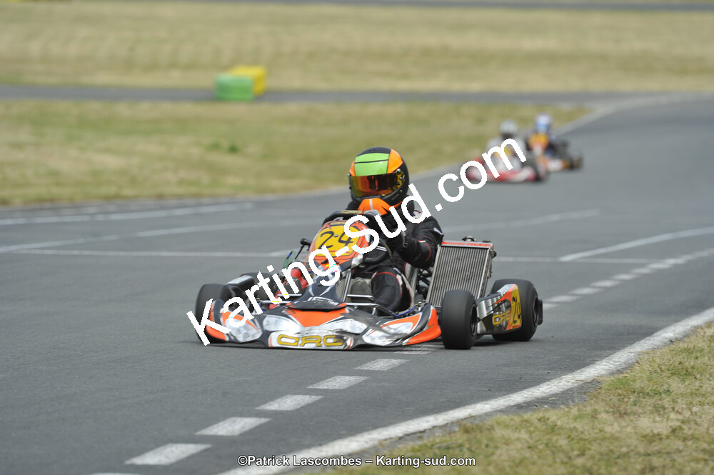 22/06/2014 : 4ème manche du Trophée Jean Paul Puyrigaud à Layrac (Photos Patrick Lascombes) 2014 — karting