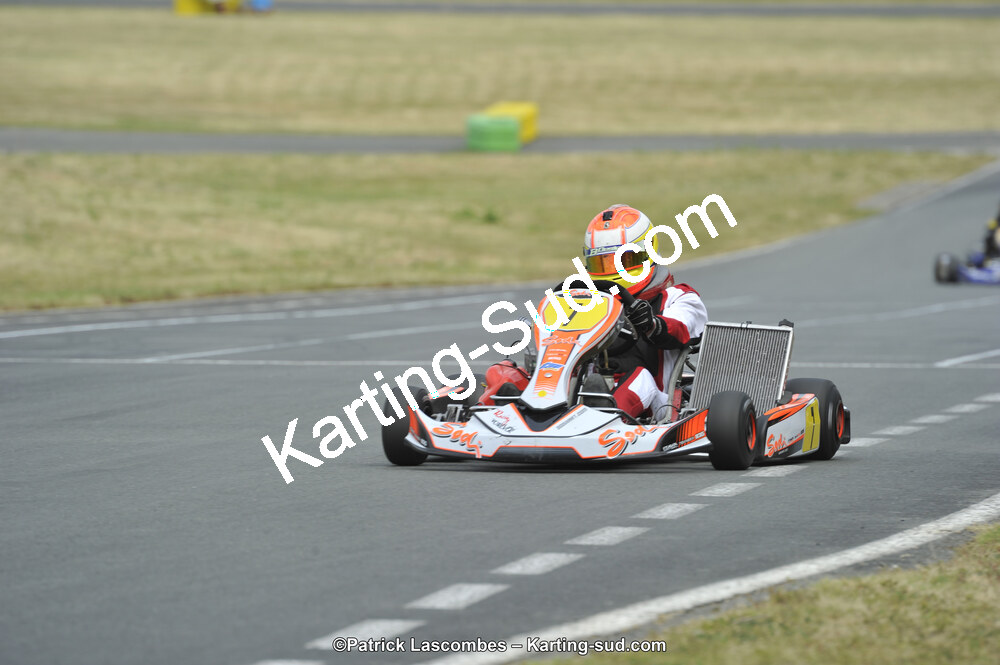 22/06/2014 : 4ème manche du Trophée Jean Paul Puyrigaud à Layrac (Photos Patrick Lascombes) 2014 — karting