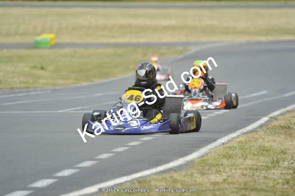 22/06/2014 : 4ème manche du Trophée Jean Paul Puyrigaud à Layrac (Photos Patrick Lascombes) 2014 — karting