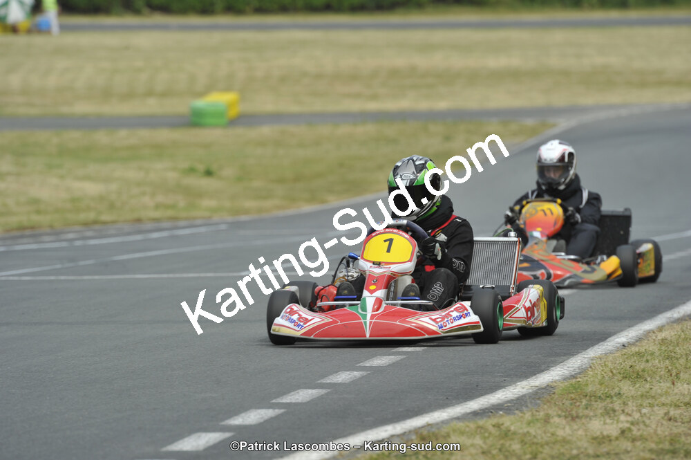 22/06/2014 : 4ème manche du Trophée Jean Paul Puyrigaud à Layrac (Photos Patrick Lascombes) 2014 — karting
