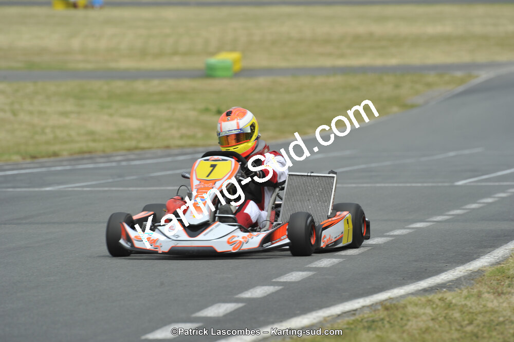 22/06/2014 : 4ème manche du Trophée Jean Paul Puyrigaud à Layrac (Photos Patrick Lascombes) 2014 — karting