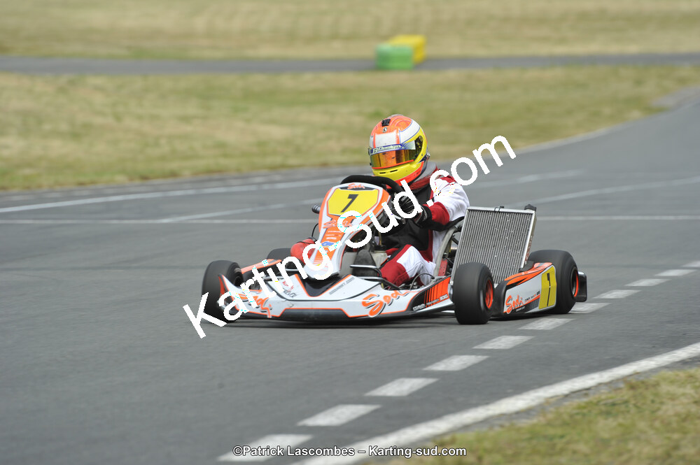 22/06/2014 : 4ème manche du Trophée Jean Paul Puyrigaud à Layrac (Photos Patrick Lascombes) 2014 — karting