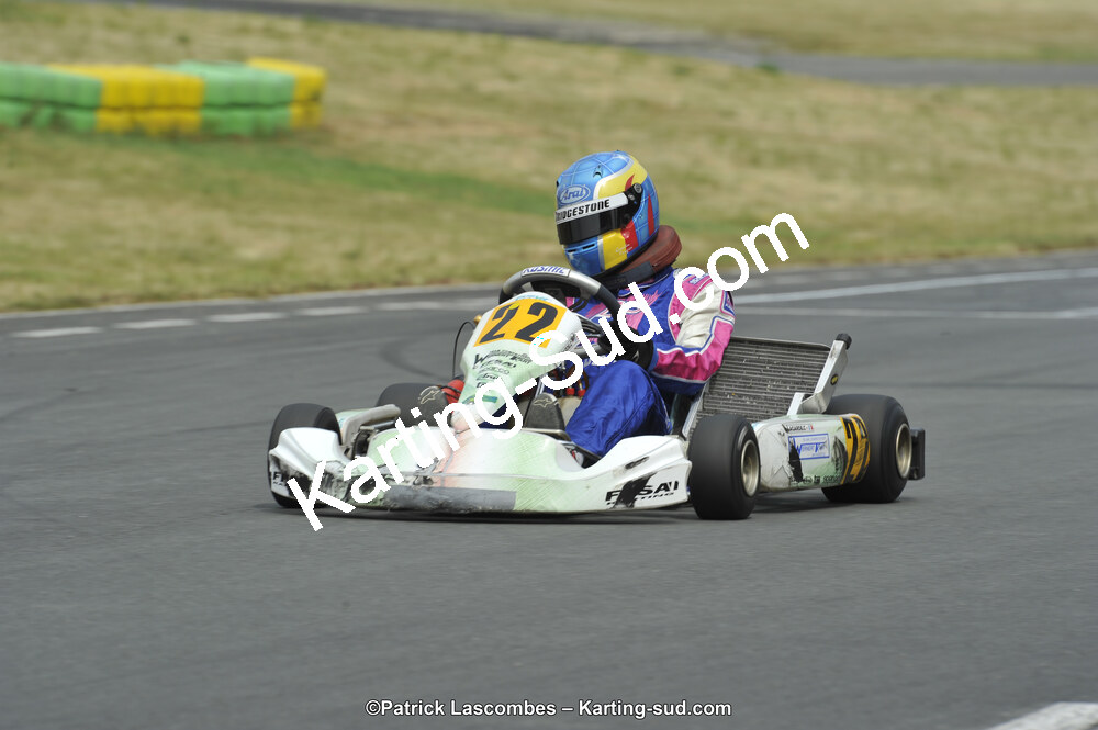 22/06/2014 : 4ème manche du Trophée Jean Paul Puyrigaud à Layrac (Photos Patrick Lascombes) 2014 — karting