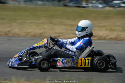 22/06/2014 : Course Club de Muret (Photos Antoine Camblor) 2014 — karting