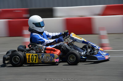 22/06/2014 : Course Club de Muret (Photos Antoine Camblor) 2014 — karting