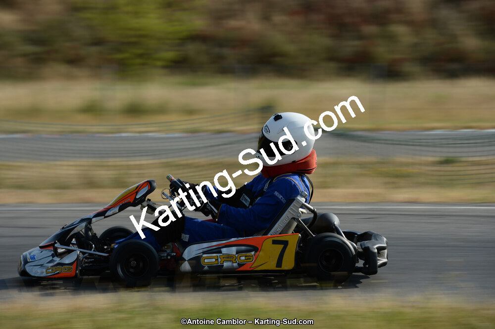 DSC_8513.jpg