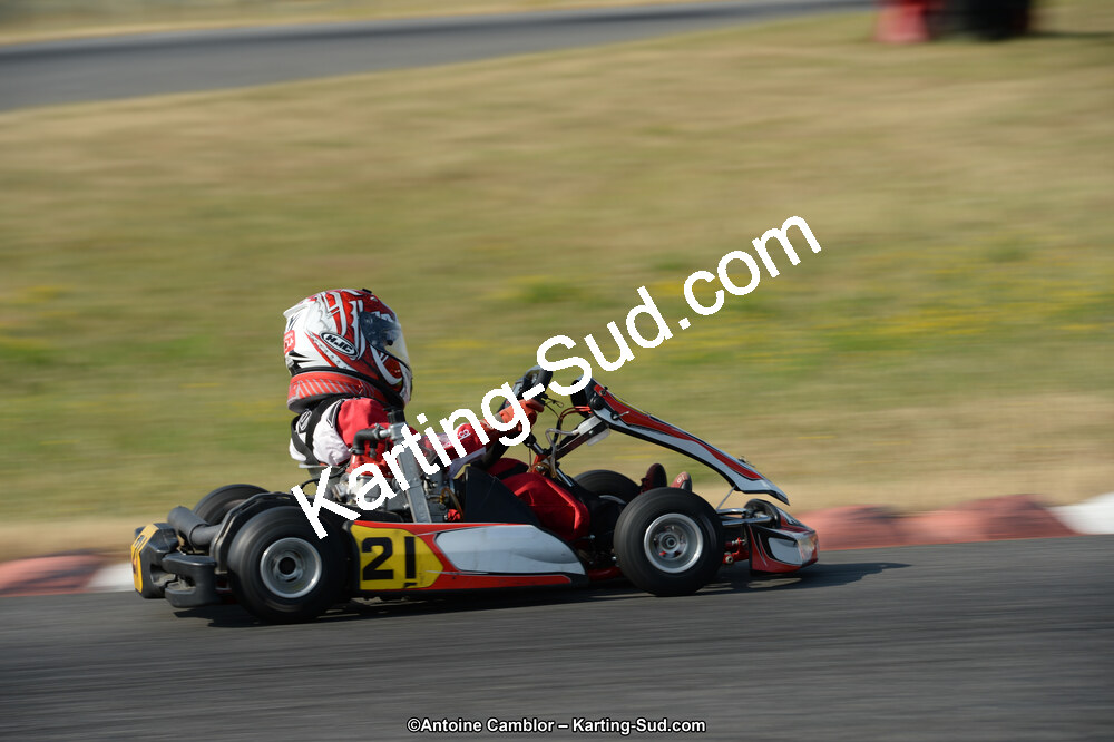 DSC_8548.jpg