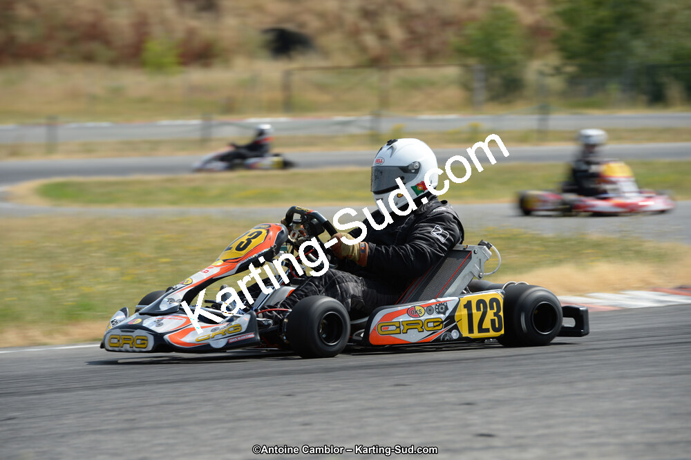 22/06/2014 : Course Club de Muret (Photos Antoine Camblor) 2014 — karting