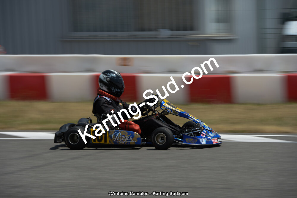 DSC_9351.jpg
