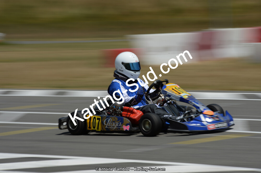 DSC_9377.jpg