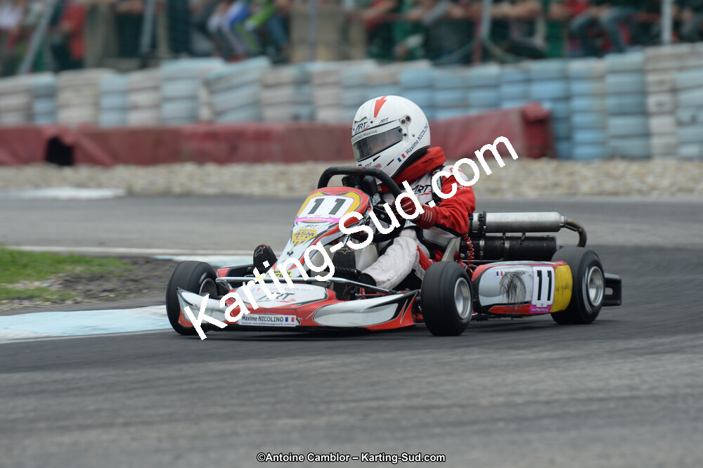 DSC_5201.jpg