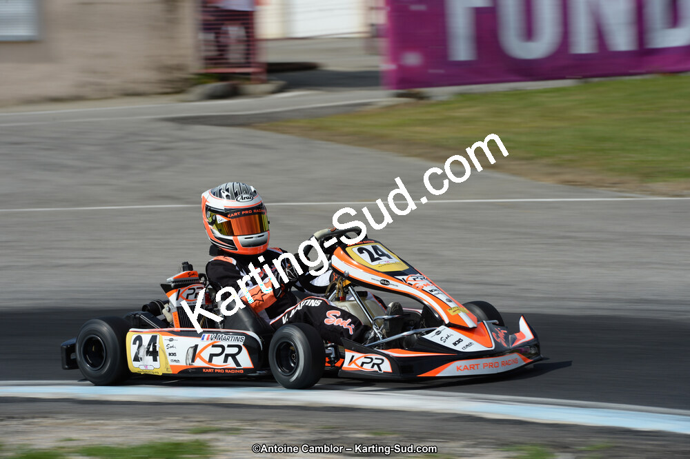 DSC_7431.jpg